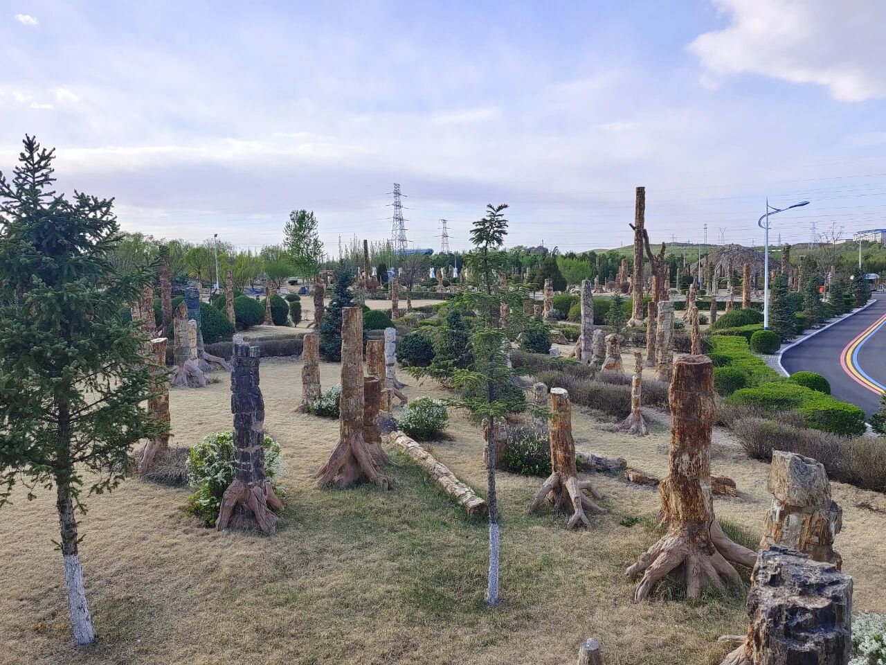 诗词鉴赏 | 《咏化石木》