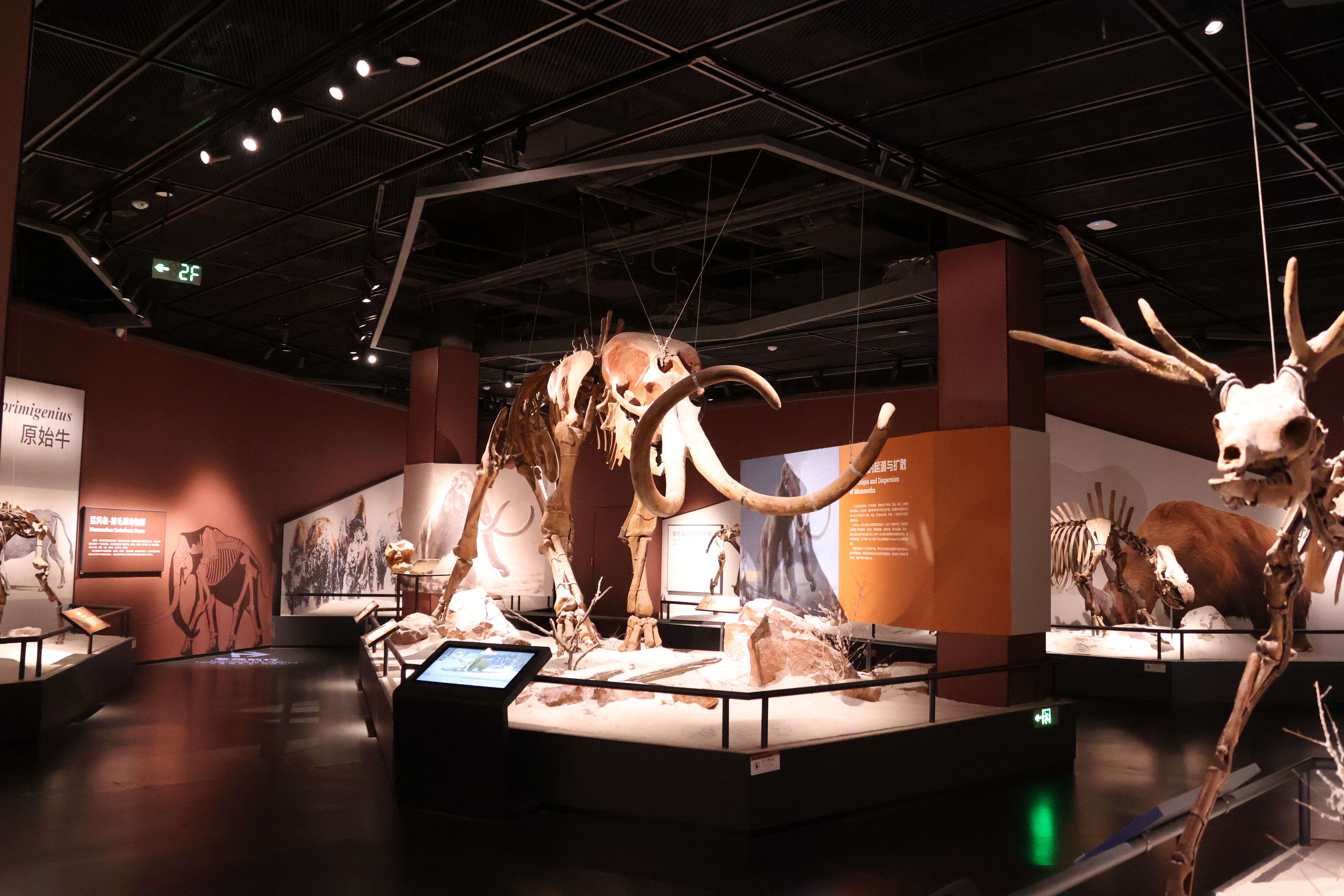 诗词鉴赏 | 《化石绝唱》