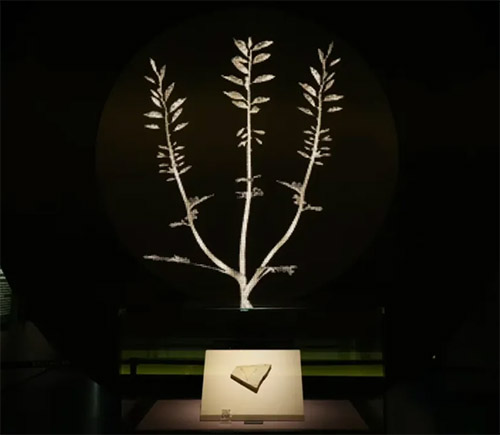 诗词鉴赏 | 《咏辽宁古果》