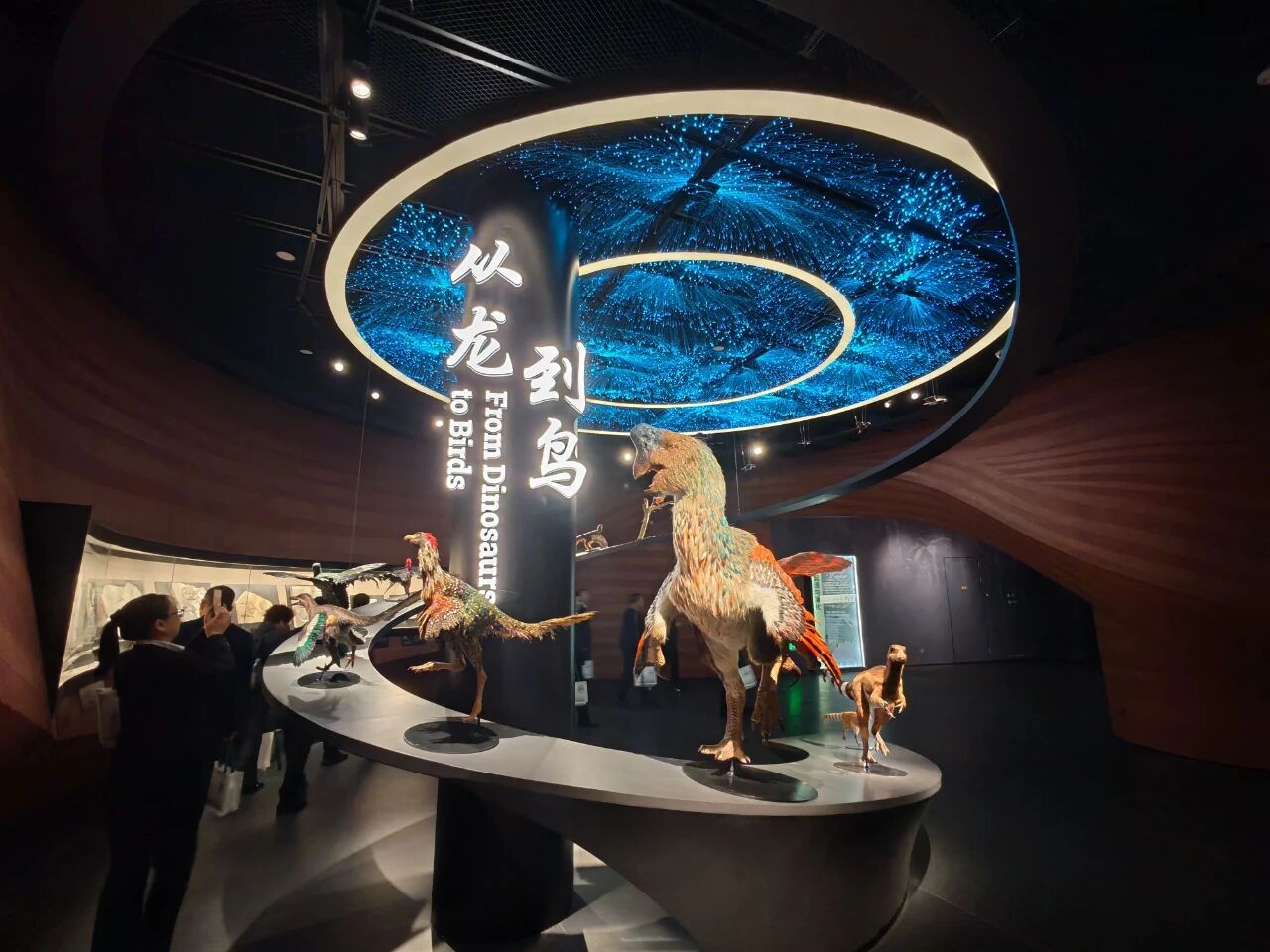 诗词鉴赏 | 《游化石公园有感》