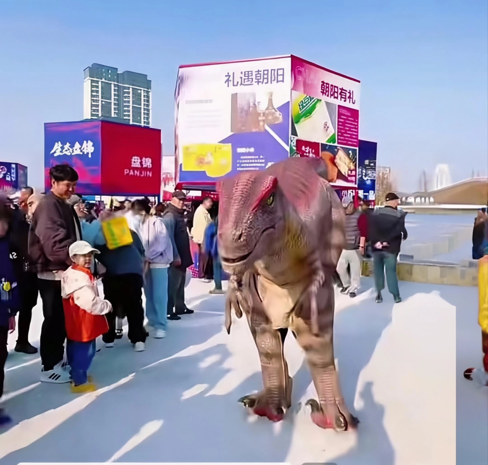 恐龙突袭辽超决赛，邀您奔赴朝阳，共赴亿年时空之约