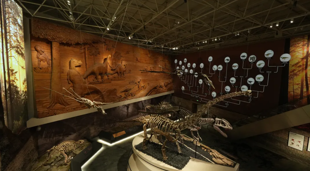 诗词鉴赏 | 《恐龙化石》